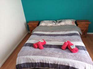 dos calcetines rojos en una cama en un dormitorio en Lo de fernando 1, en Río Gallegos