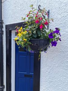 een blauwe deur met een pot bloemen voor een deur bij The Apartment at No.12 in Lochwinnoch