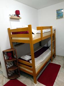 2 Etagenbetten in einem Zimmer mit einem roten Teppich in der Unterkunft Java apartments - S & J in Dobrota