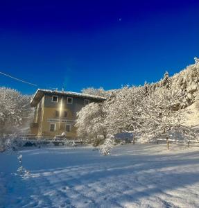 dom z pokrytymi śniegiem drzewami przed nim w obiekcie TheCrossing Bed & Breakfast w mieście Hausen im Tal