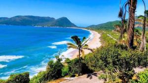 uma praia com palmeiras e o oceano em Valentina 24 HORAS em Florianópolis