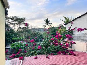 a bunch of pink flowers on a roof at Hotel Pacific Surf AC Room Best in Tunco Beach in Tamanique