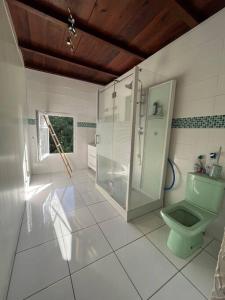 W łazience znajduje się zielona toaleta i prysznic. w obiekcie Case Louis w mieście Saint-Pierre