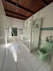 a bathroom with a green toilet and a shower at Case Louis et spa in Saint-Pierre