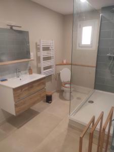 a bathroom with a toilet and a sink and a shower at LES JARDINS D'ORANGE in Orange