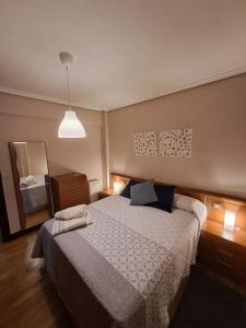 ein Schlafzimmer mit einem großen Bett und einem Spiegel in der Unterkunft Bilbao, a un paso. in Bilbao