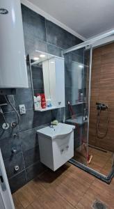 a bathroom with a sink and a shower at Libertas Apartments in Bitola