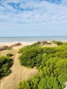 Příroda nedaleko apartmánu + 3 fotografie