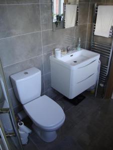 a bathroom with a white toilet and a sink at Unique World War II history attached to this dwelling in Dublin