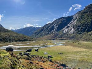a group of cows grazing in a field next to a river at Tungestølen in Veitastrond
