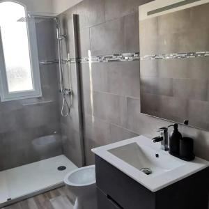 un bagno con lavandino, WC e specchio di Appartement entre mer et montagne avec beau jardin a Calenzana Altre 10 foto