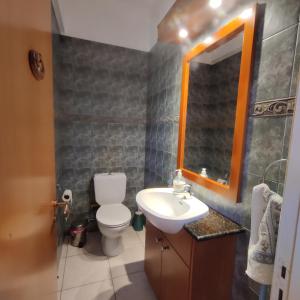 een badkamer met een toilet, een wastafel en een spiegel bij Quiet holiday house near the beach in Menevi