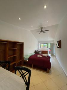 a bedroom with a bed and a ceiling fan at Vista Boquete Apartments in Bajo Boquete