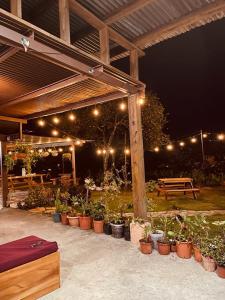 - une terrasse avec une bande de plantes en pot et une table de pique-nique dans l'établissement Vista Boquete Apartments, à Bajo Boquete