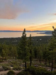 a view of a forest of trees and a lake at Tahoe Lake View Hill Top Retreat in Incline Village