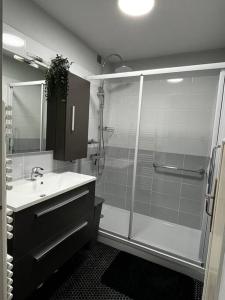 uma casa de banho com um chuveiro e um lavatório. em Appartement 4 couchages centre-ville em Albertville