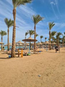 people on a beach with palm trees and umbrellas at شاليه مميز جدا فندق ميراج شاطئ كبير in Hurghada
