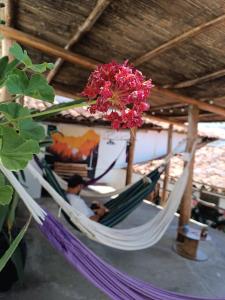 a man sitting in a hammock with a flower at ADVENTURE Hostel in San Gil