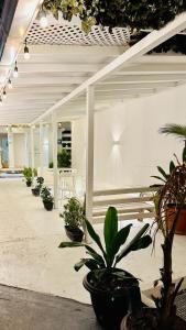 a room filled with potted plants in a building at DiHouse Apartment - Habitacion Privada in San Andrés