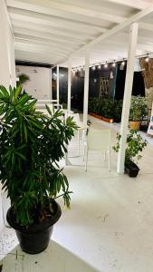 a patio with white tables and chairs and potted plants at DiHouse Apartment - Habitacion Privada in San Andrés