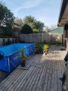 a swimming pool on a deck with two potted plants at Cozy Double Room - WIFI in Hamilton