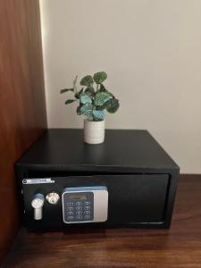 a black microwave with a potted plant on a table at Villa Tucan in Fortuna