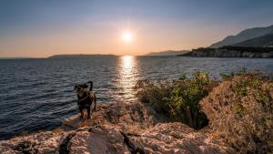 Príroda v okolí apartmánu