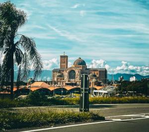 Blick auf ein Gebäude mit einer Palme und einer Straße in der Unterkunft Ibis Guaratingueta Aparecida - Circuito da Fé in Guaratinguetá