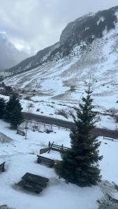 a snow covered field with a pine tree and a road at Apartamento Riglos2 Candanchu in Candanchú