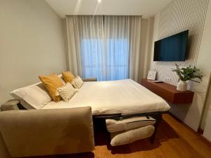 a bedroom with a large bed and a television at Apartamento Punto24 con acceso a Parking in Cáceres