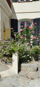 a bunch of pink flowers in front of a house at Appartement entre mer et montagne avec beau jardin in Calenzana