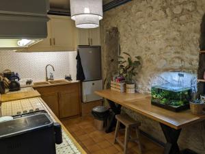 eine Küche mit einer Theke mit einem Aquarium darauf in der Unterkunft Chambre bohème au calme in Montrouge