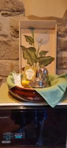 Gallery image of La Casetta della Nonna in Caprese Michelangelo +19 photos