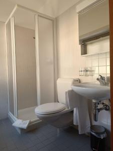 La salle de bains est pourvue de toilettes, d'un lavabo et d'une douche. dans l'établissement Locanda La Pignatta, à Arogno