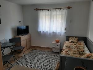 um quarto com uma cama, uma televisão e uma mesa em Erdei fenyö vendeghaz em Lenti