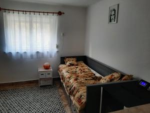 um quarto com uma cama e uma janela em Erdei fenyö vendeghaz em Lenti