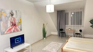 TV a/nebo společenská místnost v ubytování Moderne Appartement + 12 fotografií