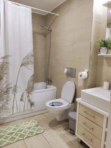 a bathroom with a toilet and a shower and a sink at Antonia's Cozy Studio in Ştefăneştii de Jos