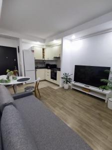 a living room with a couch and a large television at Antonia's Cozy Studio in Ştefăneştii de Jos