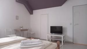 TV a/nebo společenská místnost v ubytování Moderne Appartement