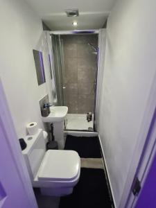 a bathroom with a toilet and a sink and a shower at Hornet's Hideout in Watford