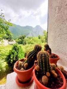 Uma vista geral da montanha ou uma vista da montanha a partir do apartamento