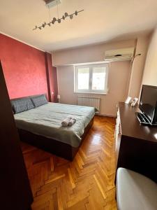 Schlafzimmer mit einem Bett und einem Schreibtisch mit einem Laptop in der Unterkunft Amy's Bright Apartment in Constanţa