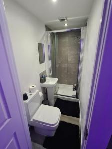 La petite salle de bains est pourvue de toilettes et d'un lavabo. dans l'établissement Hornet's Hideout, à Watford