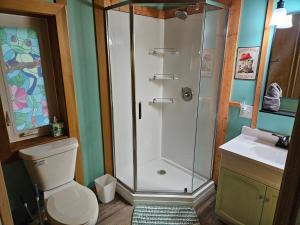 a bathroom with a shower and a toilet and a sink at Frog Hollow at Hocking Vacations in Logan
