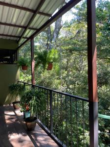une terrasse couverte avec des plantes en pot et une rampe dans l'établissement Cabañas La Montaña Mountain Lodge, à Monteverde Costa Rica
