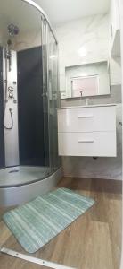 ein Bad mit einer Dusche, einem Waschbecken und einem Spiegel in der Unterkunft Appartement T2 au 1er étage in Margny-lès-Compiègne