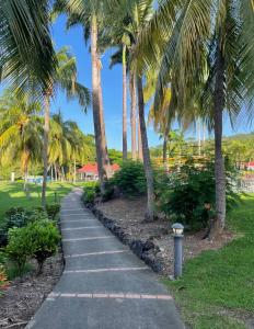 Una pasarela con palmeras en un parque en Couleur caraïbes appartement dans un hôtel 3 étoiles vue mer en Sainte-Luce