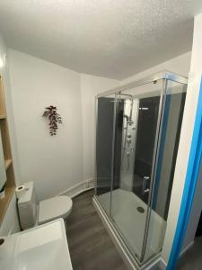 a bathroom with a glass shower and a toilet at Krutenau Lifestyle in Strasbourg