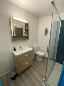 a bathroom with a sink and a toilet and a shower at Krutenau Lifestyle in Strasbourg